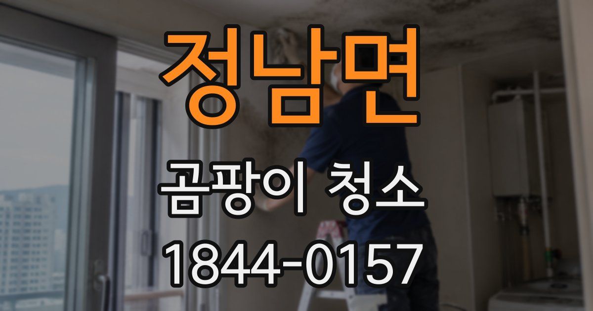정남면 곰팡이 청소