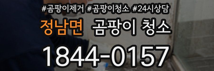 정남면 곰팡이 청소
