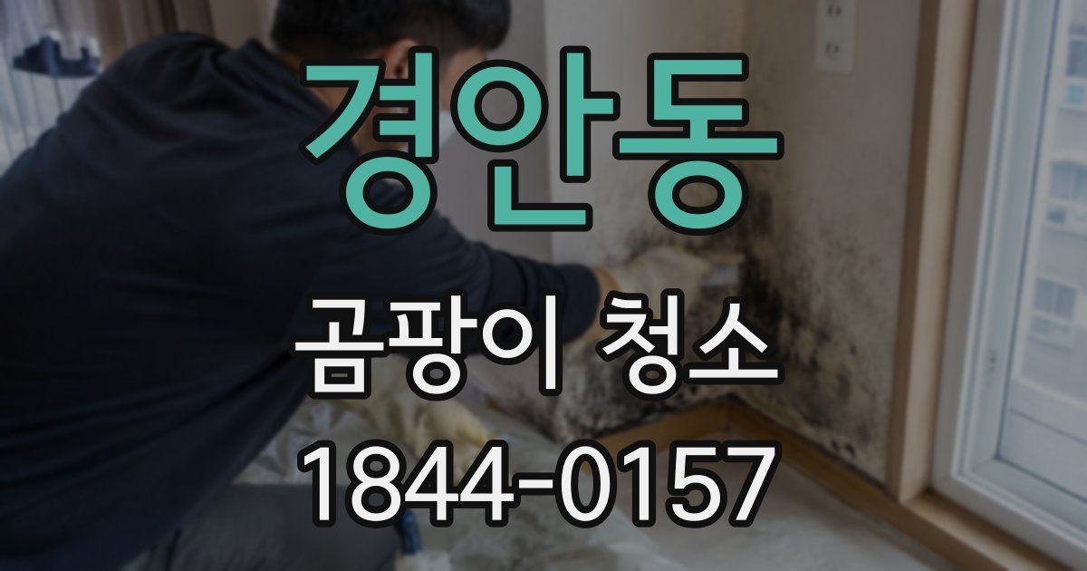 경안동 곰팡이 청소
