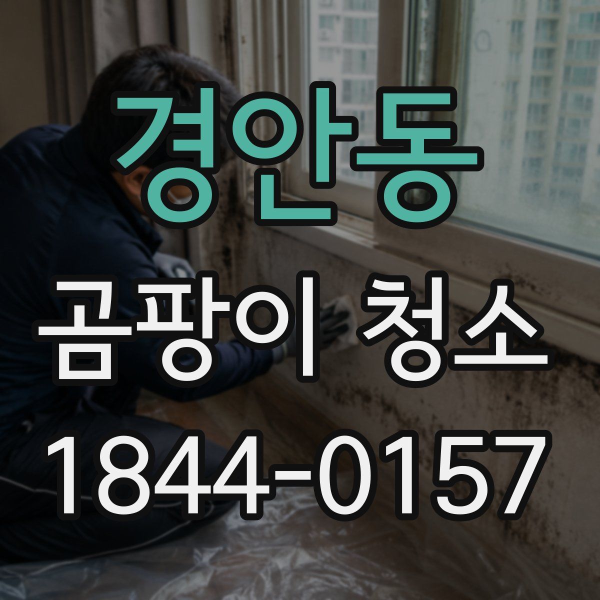경안동 곰팡이 청소