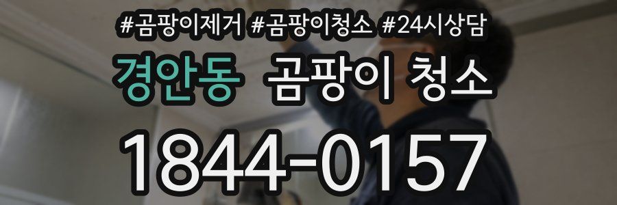 경안동 곰팡이 청소