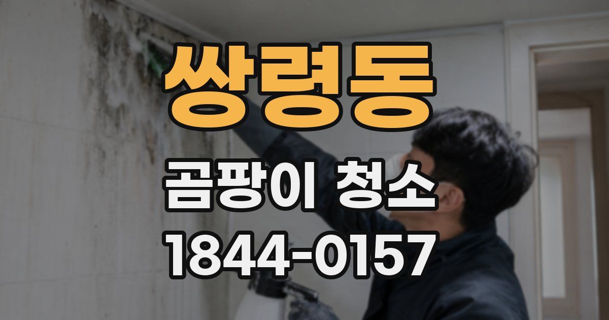 쌍령동 곰팡이 청소