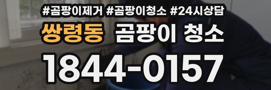 쌍령동 곰팡이 청소