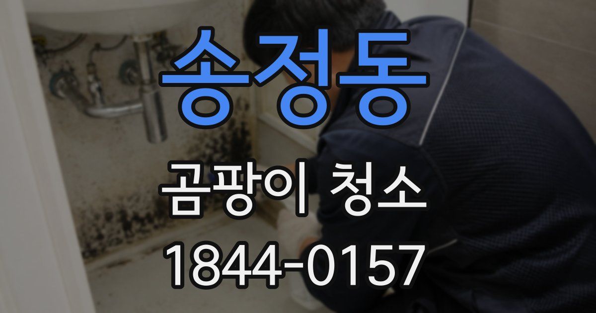 송정동 곰팡이 청소