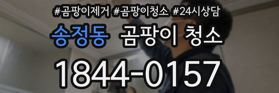 송정동 곰팡이 청소