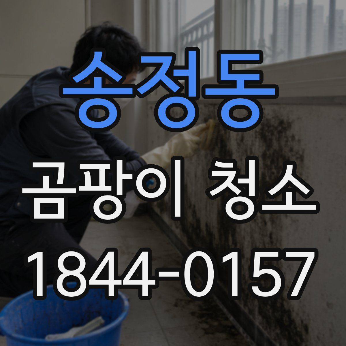 송정동 곰팡이 청소