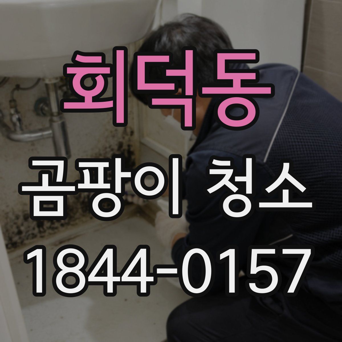 회덕동 곰팡이 청소