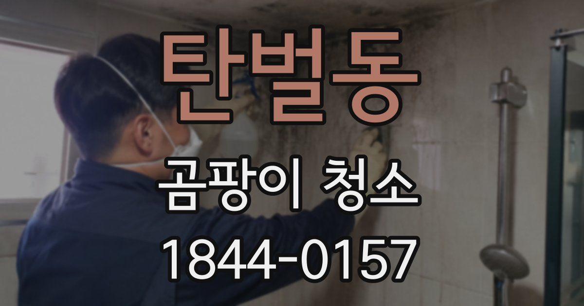 탄벌동 곰팡이 청소