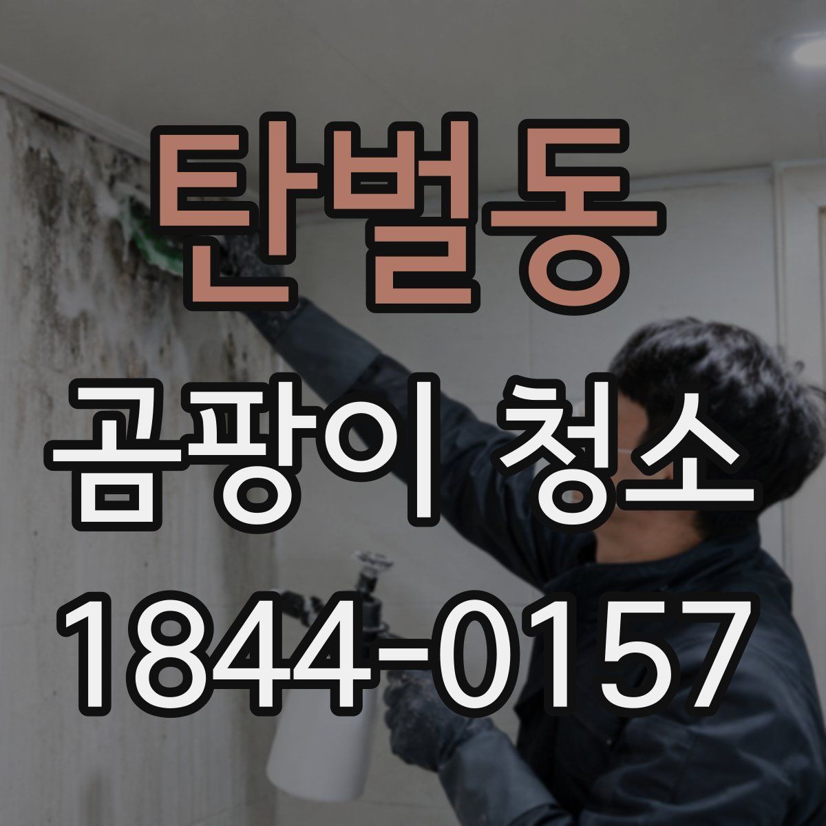 탄벌동 곰팡이 청소