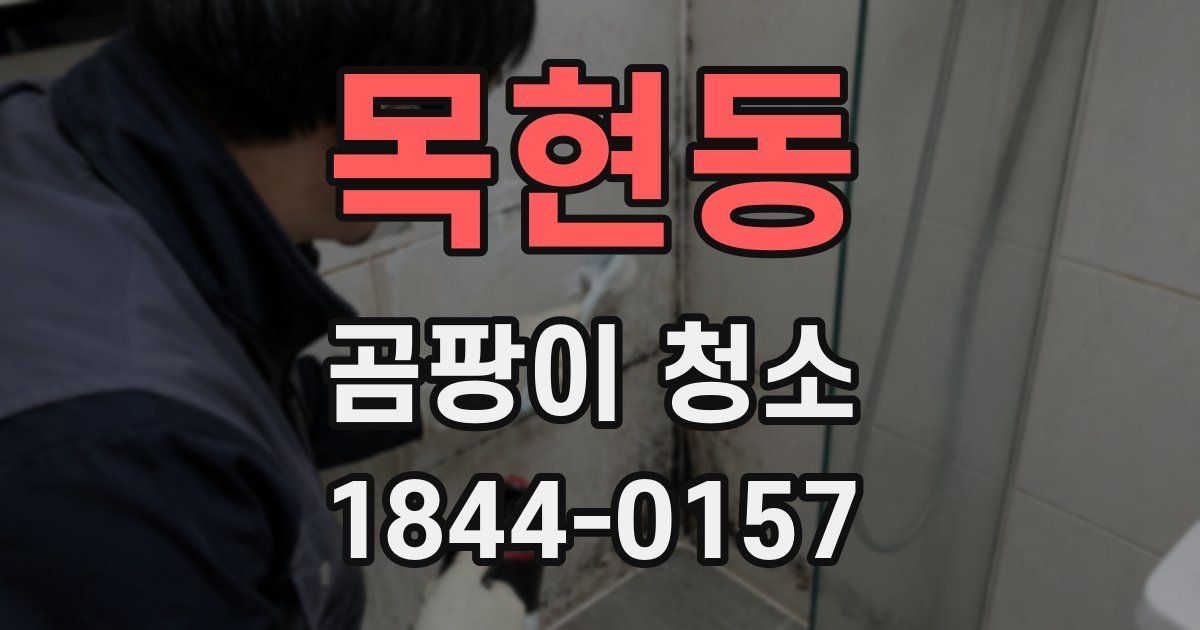 목현동 곰팡이 청소