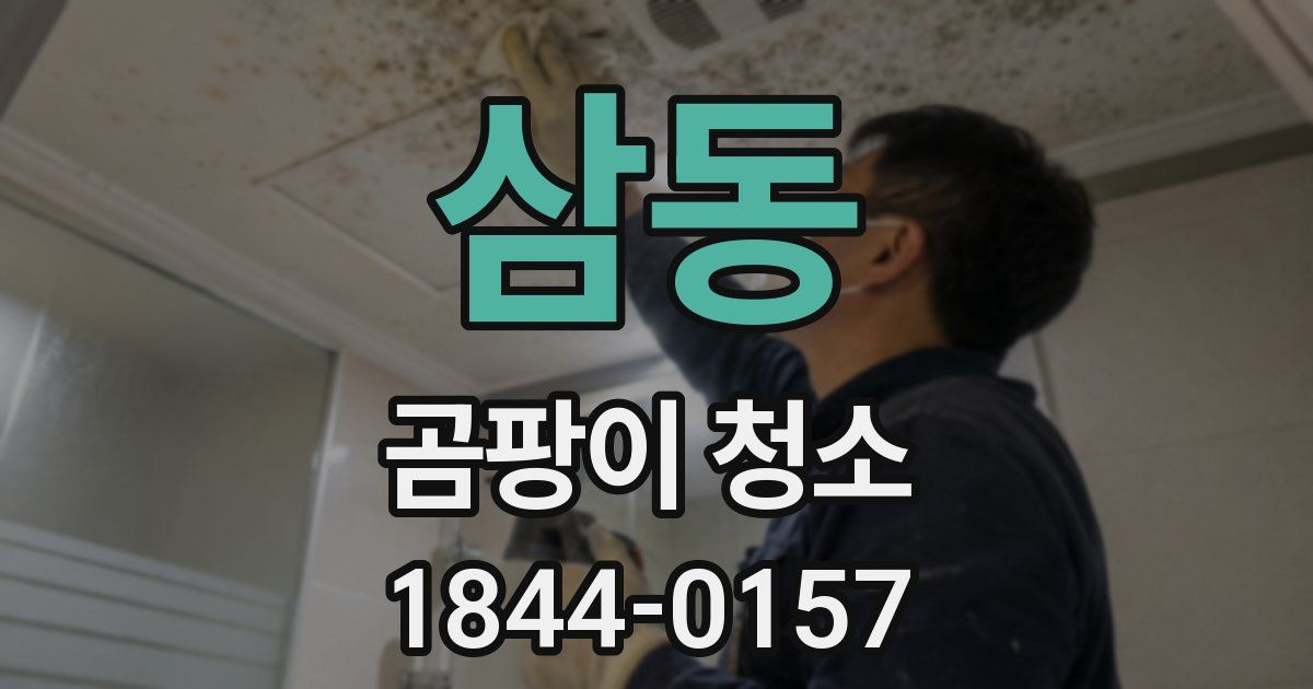 삼동 곰팡이 청소