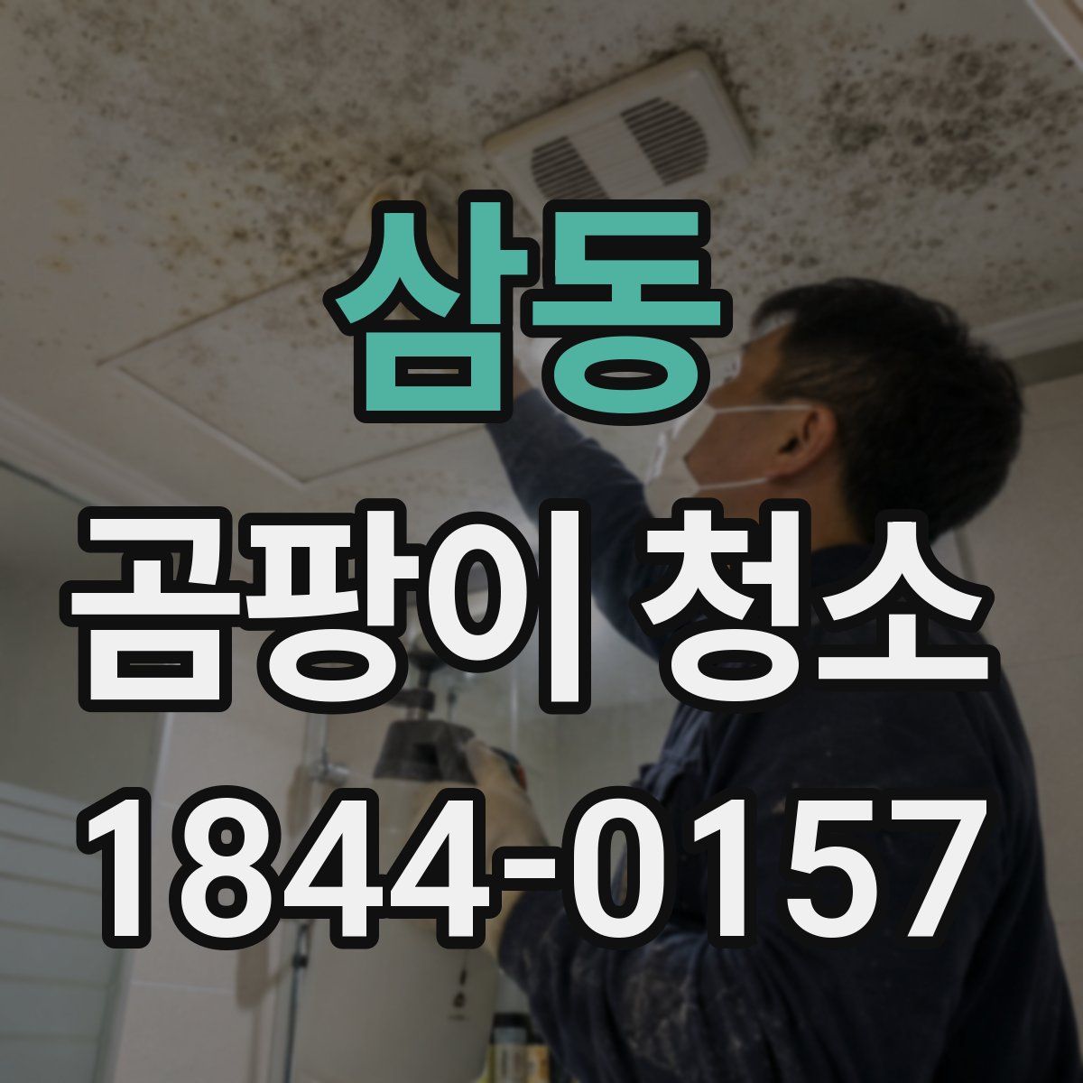 삼동 곰팡이 청소