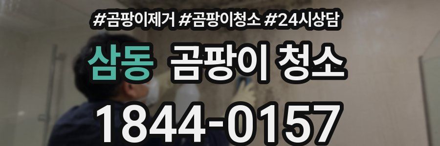 삼동 곰팡이 청소