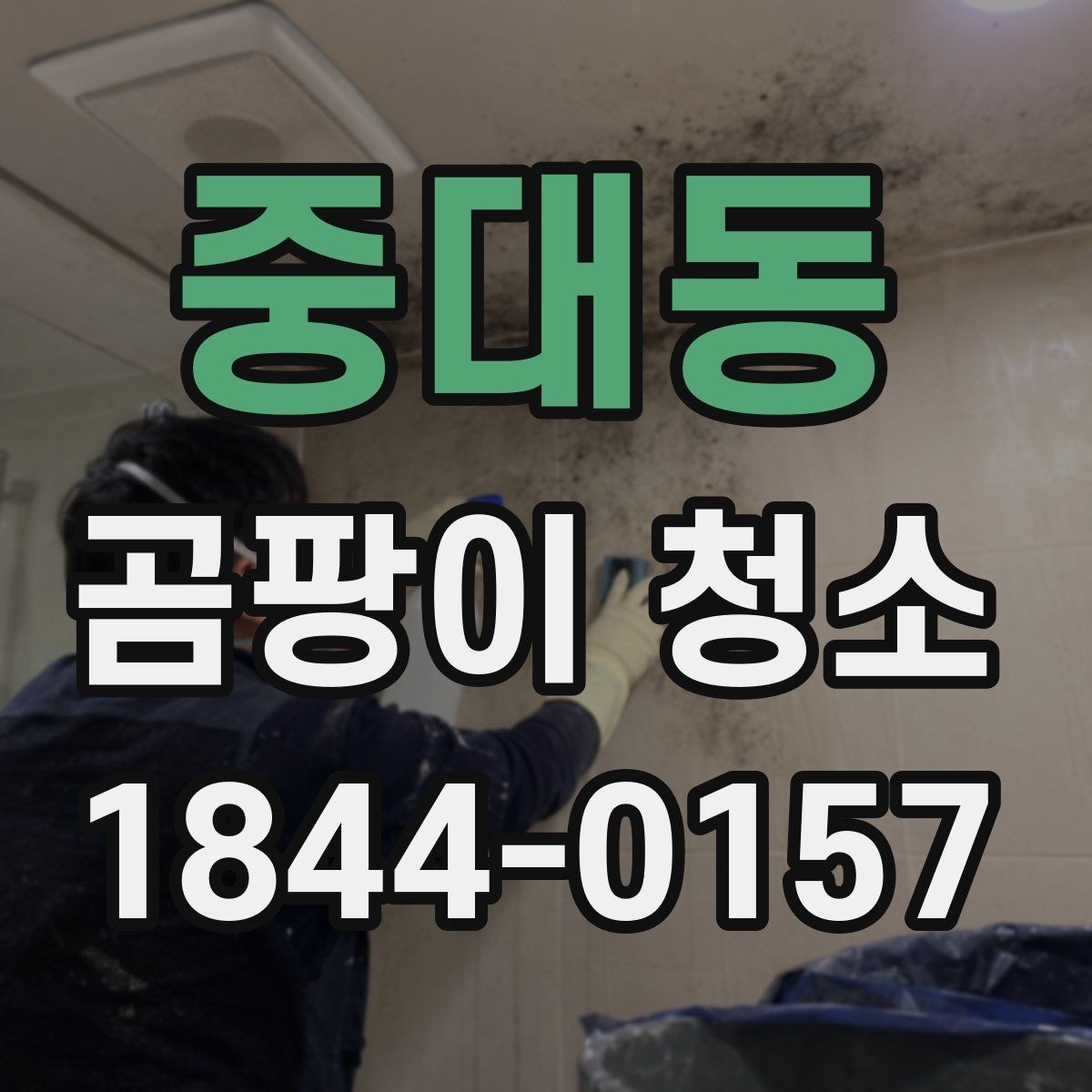 중대동 곰팡이 청소 재도장 전에 벽지와 도장면을 구분하는 법