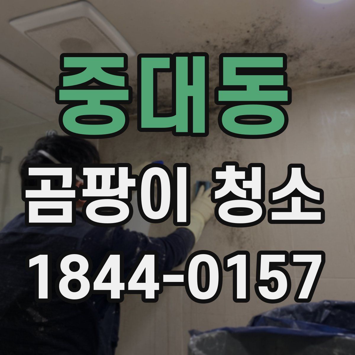 중대동 곰팡이 청소