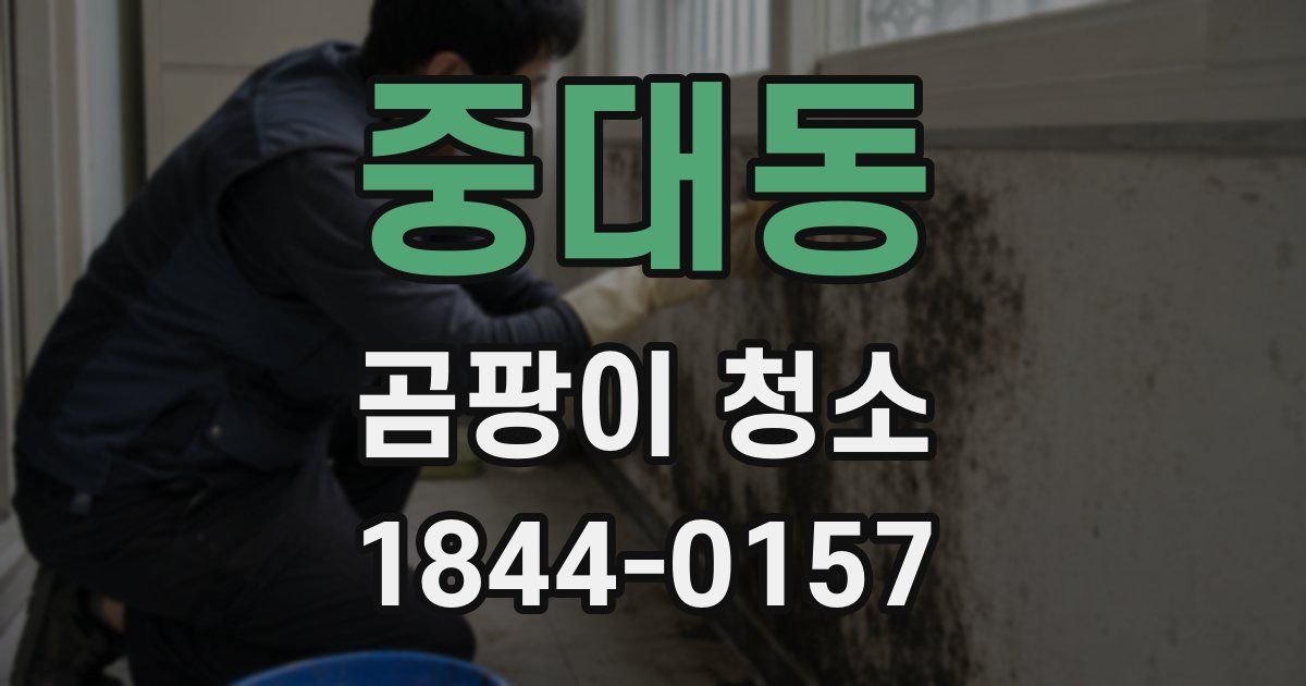 중대동 곰팡이 청소