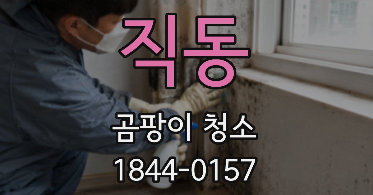 직동 곰팡이 청소