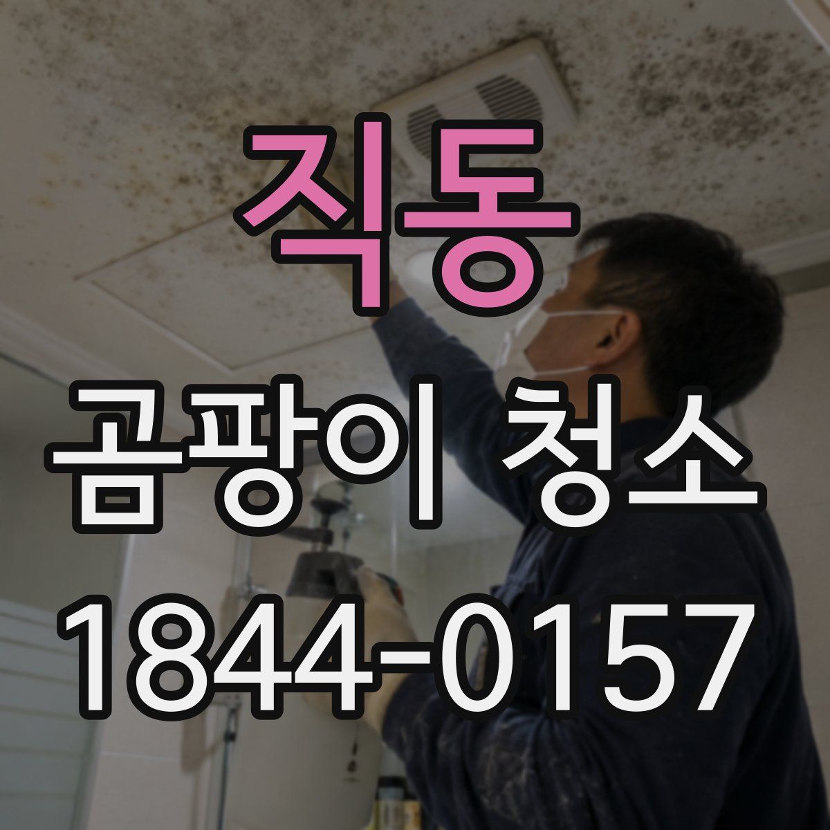 직동 곰팡이 청소