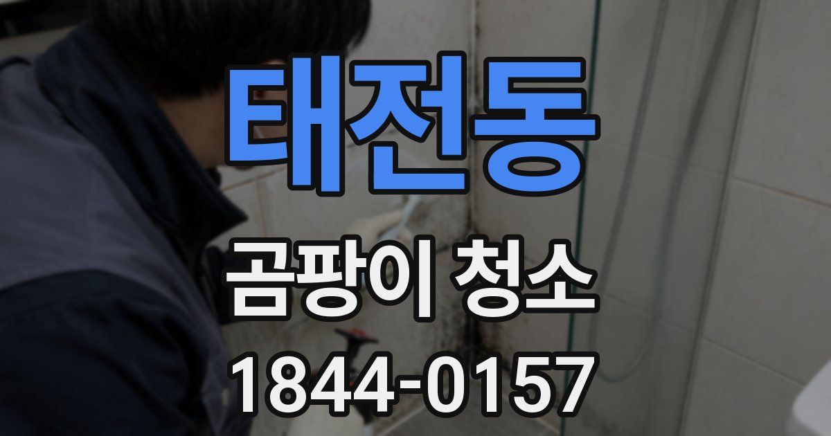 태전동 곰팡이 청소