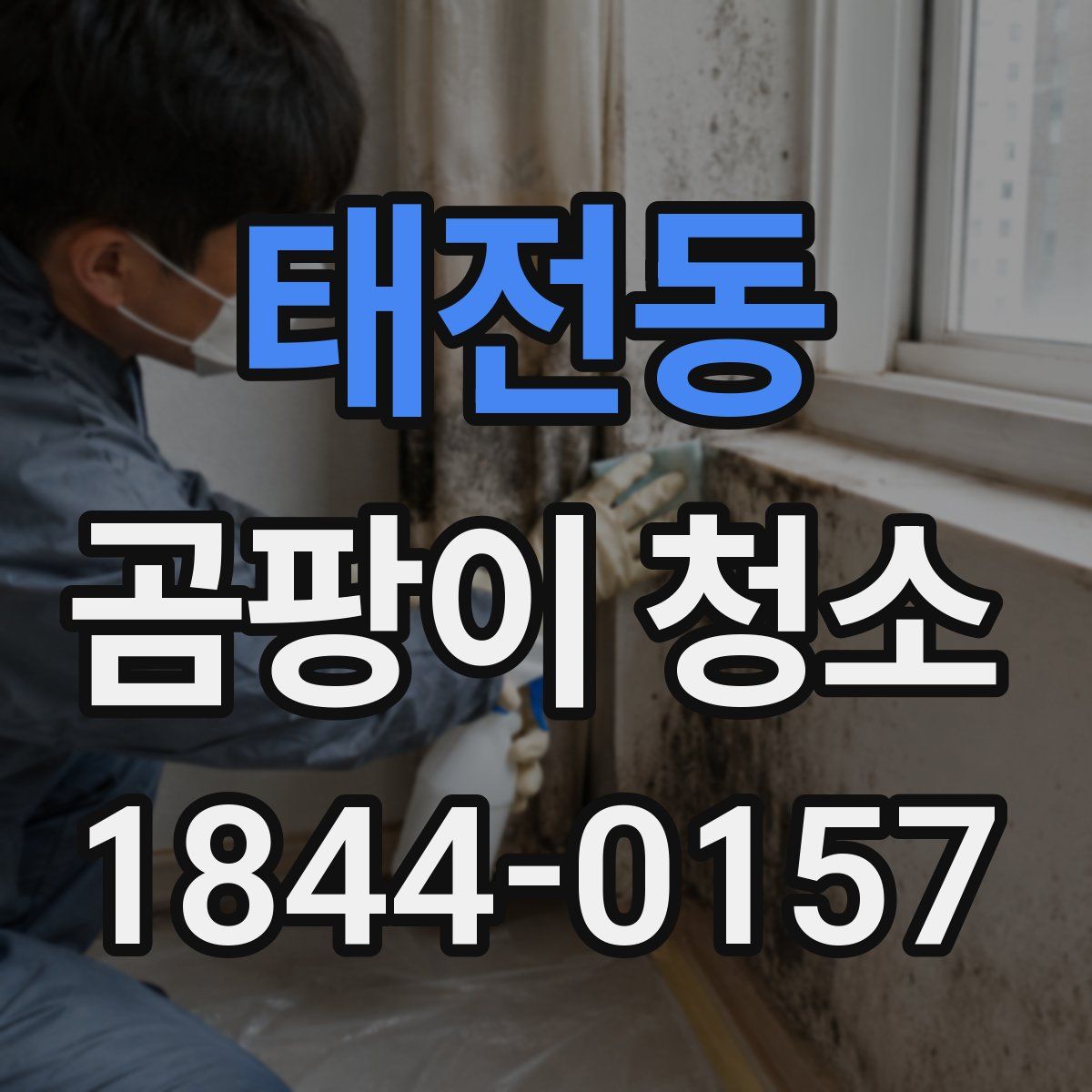 태전동 곰팡이 청소