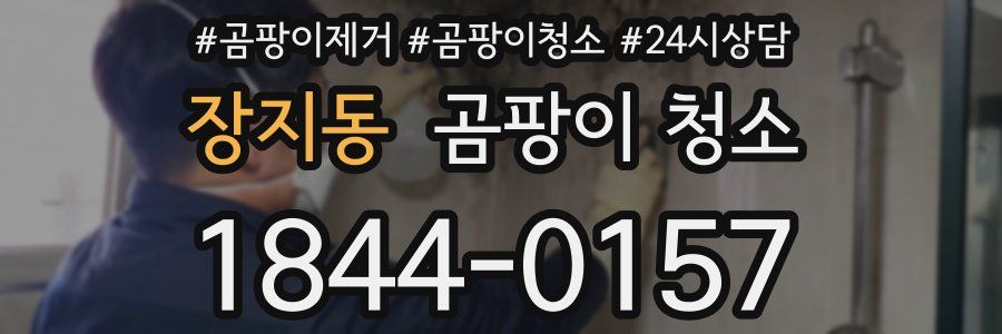 장지동 곰팡이 청소