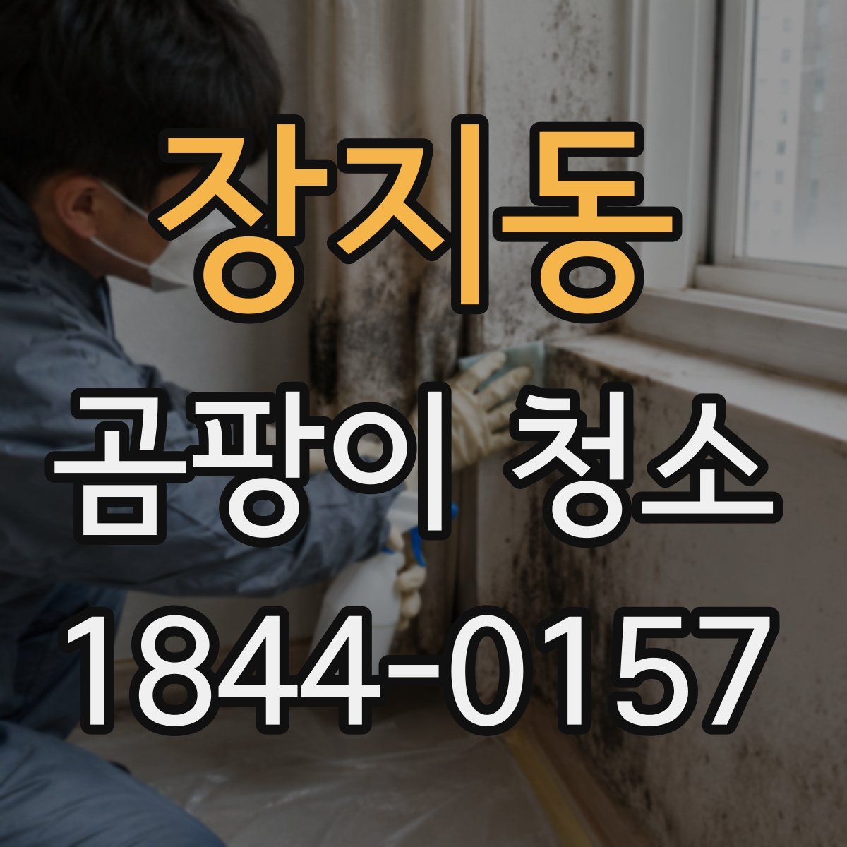 장지동 곰팡이 청소