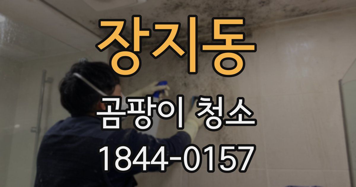 장지동 곰팡이 청소