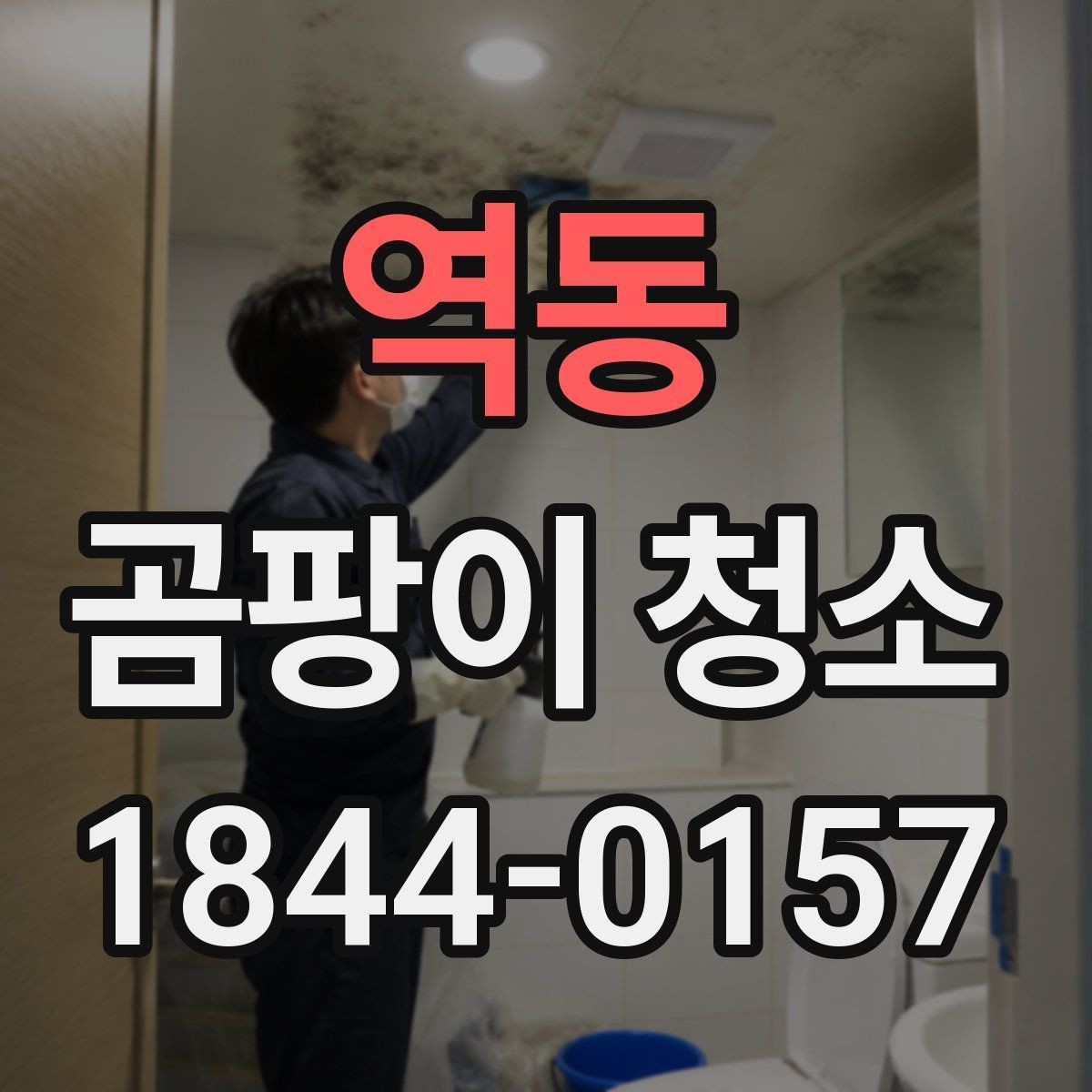 역동 곰팡이 청소 재도장 전에 남은 곰팡이 흔적 확인하는 법