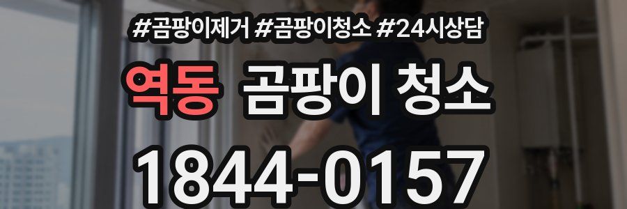 역동 곰팡이 청소