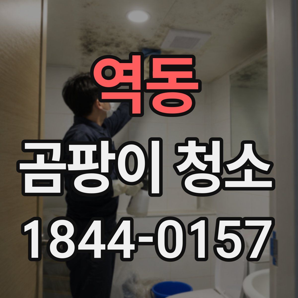 역동 곰팡이 청소