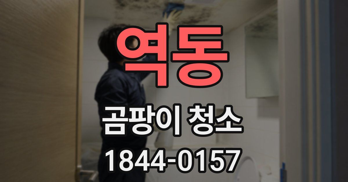 역동 곰팡이 청소