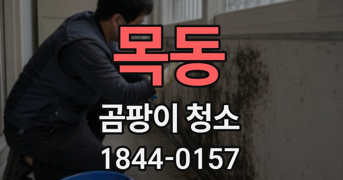 목동 곰팡이 청소