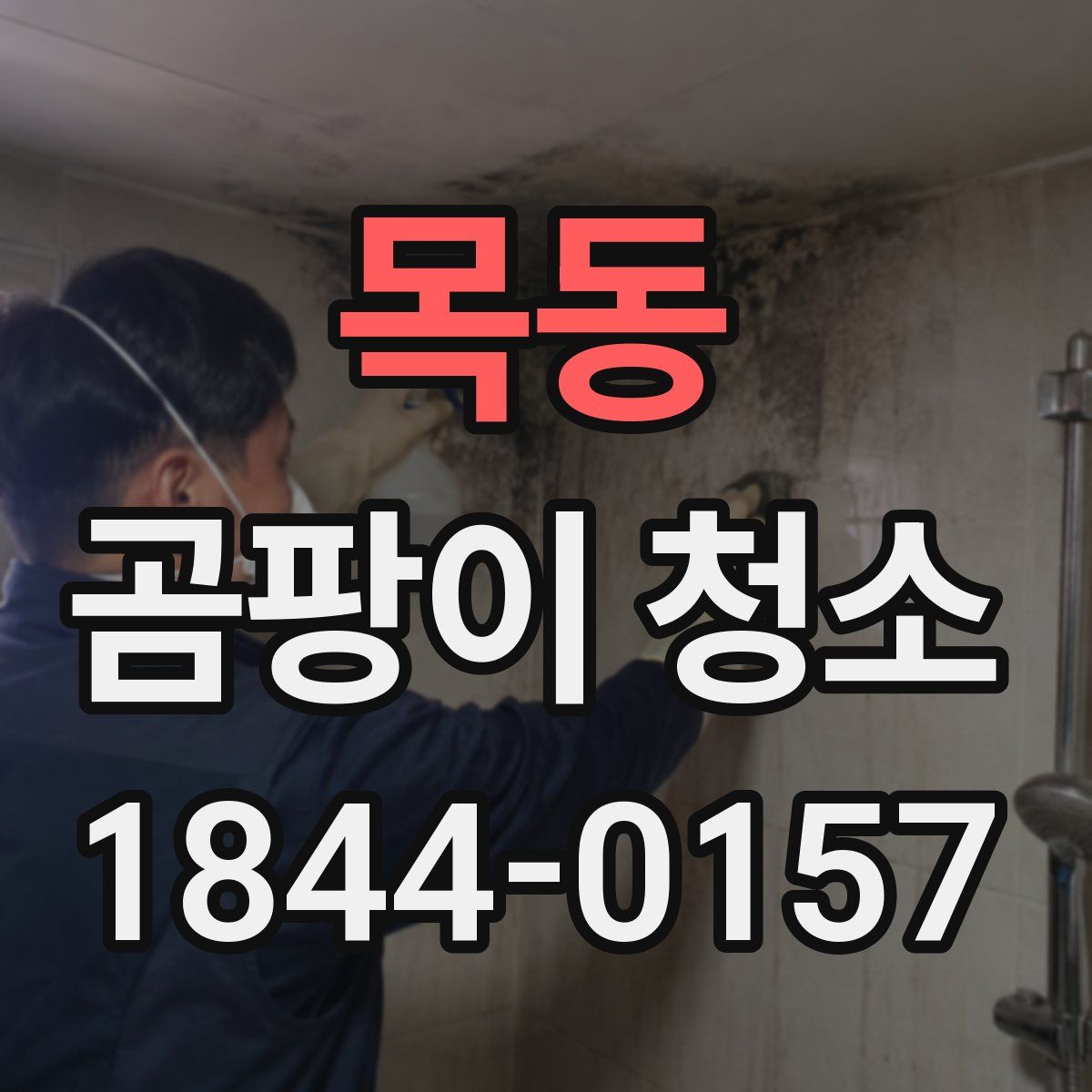 목동 곰팡이 청소
