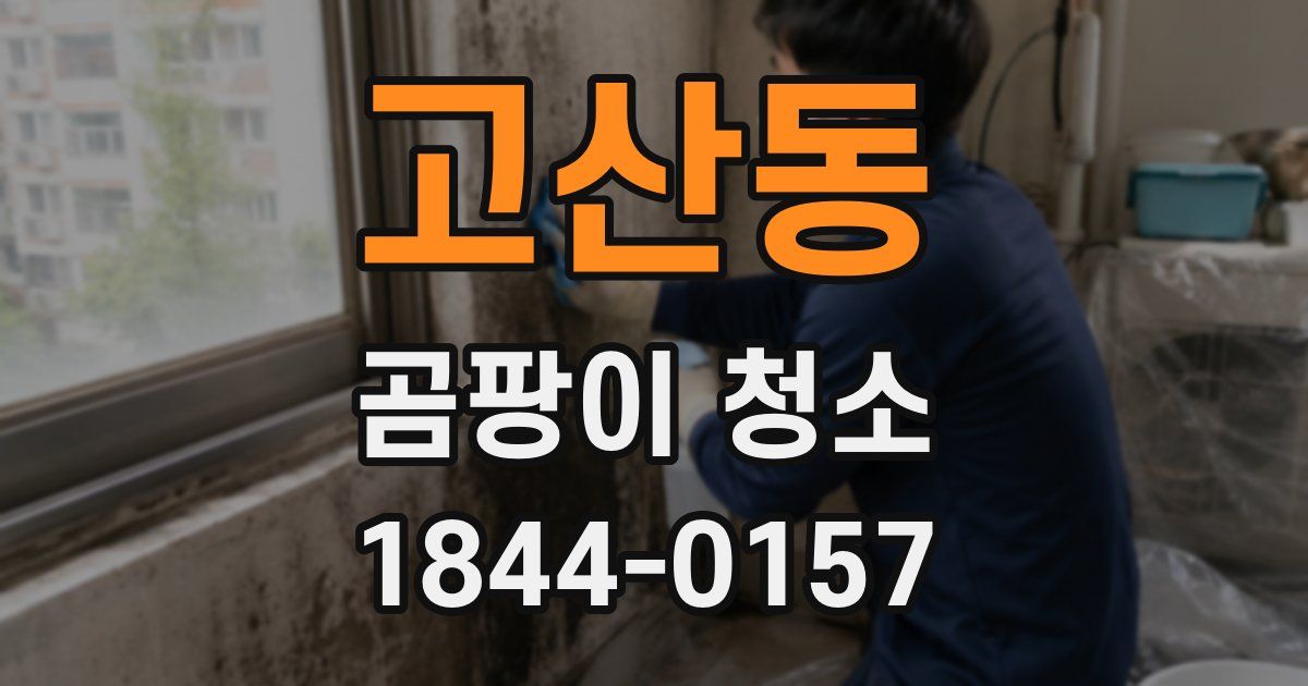 고산동 곰팡이 청소