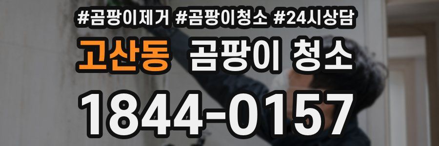 고산동 곰팡이 청소