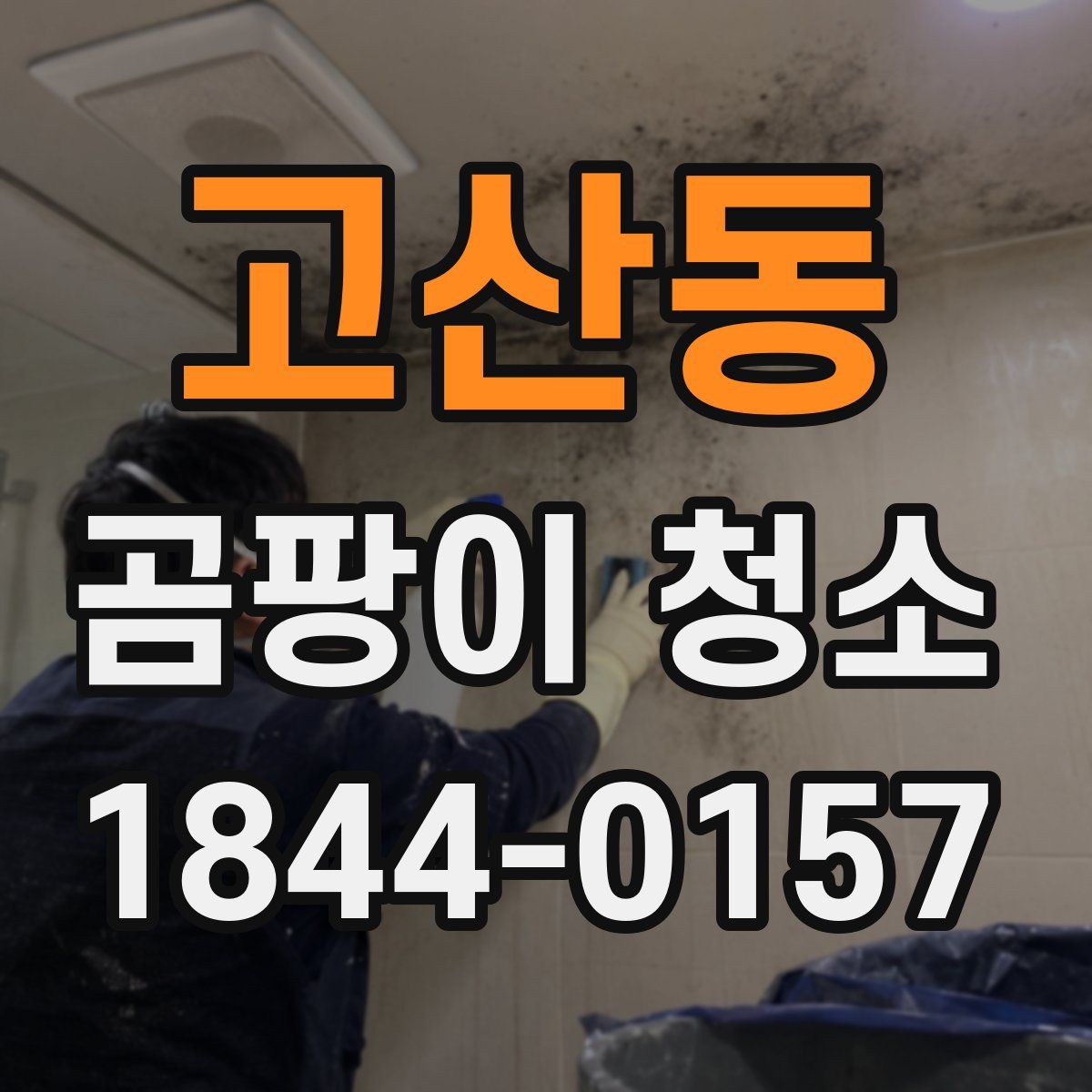 고산동 곰팡이 청소