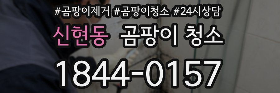 신현동 곰팡이 청소