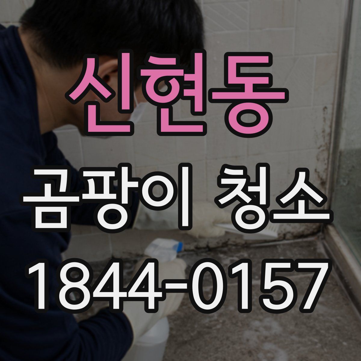 신현동 곰팡이 청소