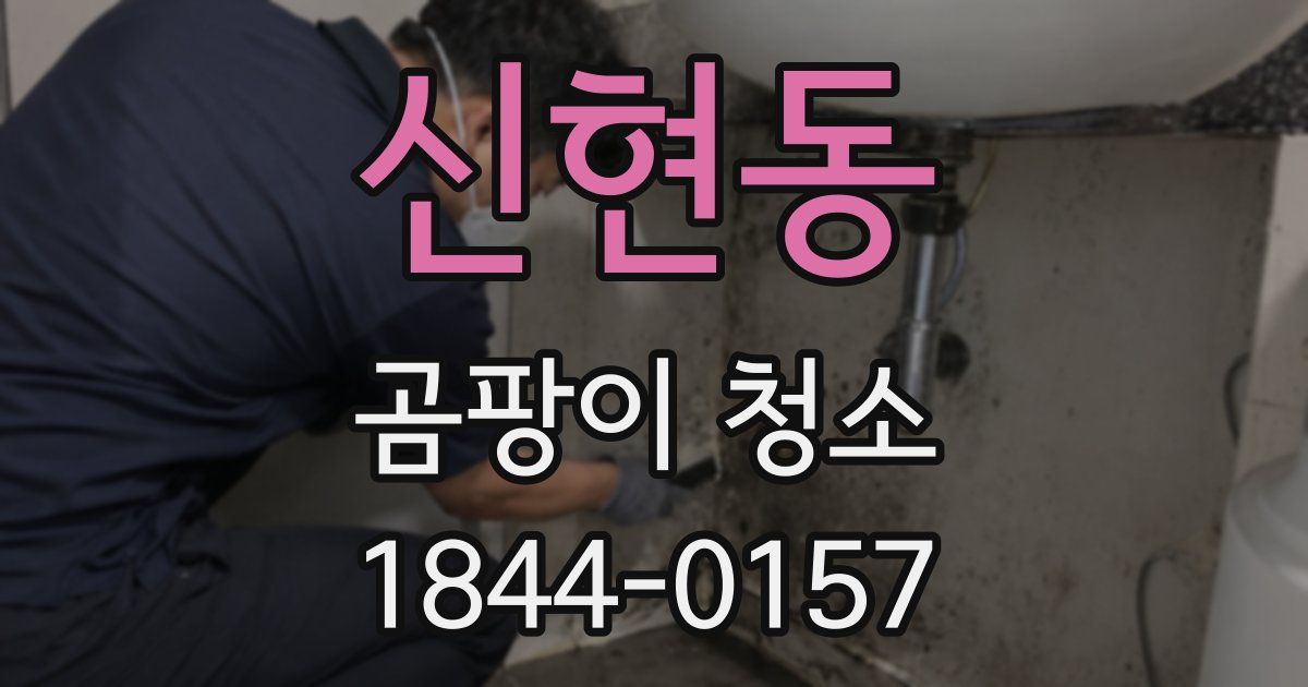 신현동 곰팡이 청소