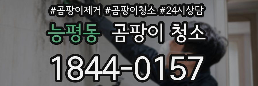 능평동 곰팡이 청소