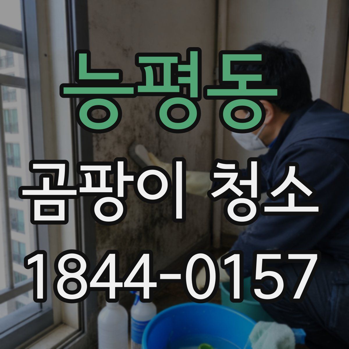 능평동 곰팡이 청소