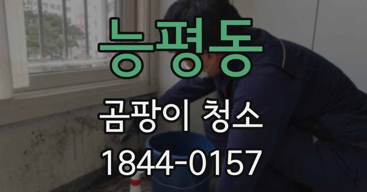 능평동 곰팡이 청소