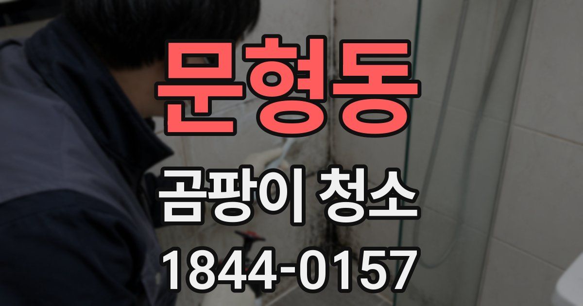 문형동 곰팡이 청소