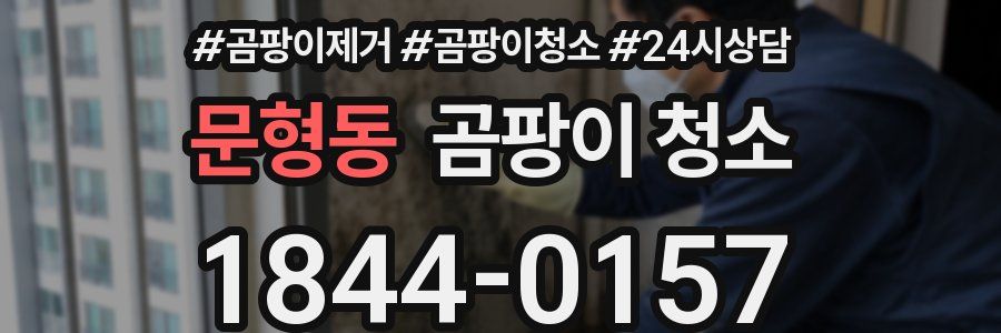 문형동 곰팡이 청소