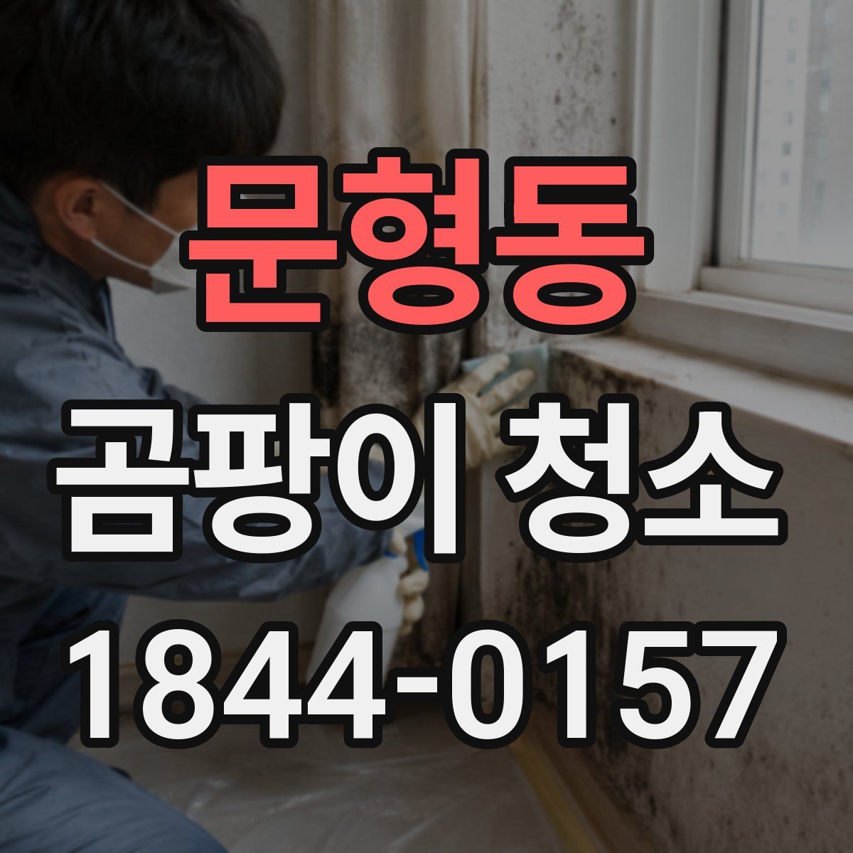 문형동 곰팡이 청소