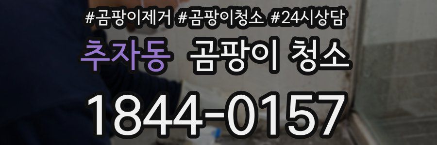 추자동 곰팡이 청소