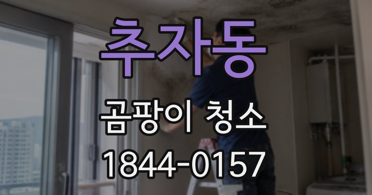 추자동 곰팡이 청소