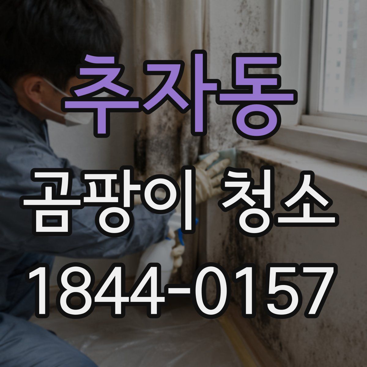 추자동 곰팡이 청소