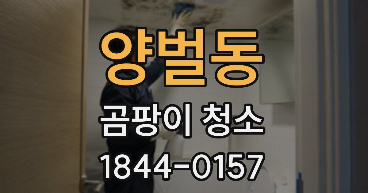양벌동 곰팡이 청소