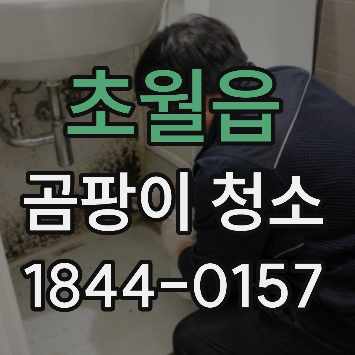 초월읍 곰팡이 청소